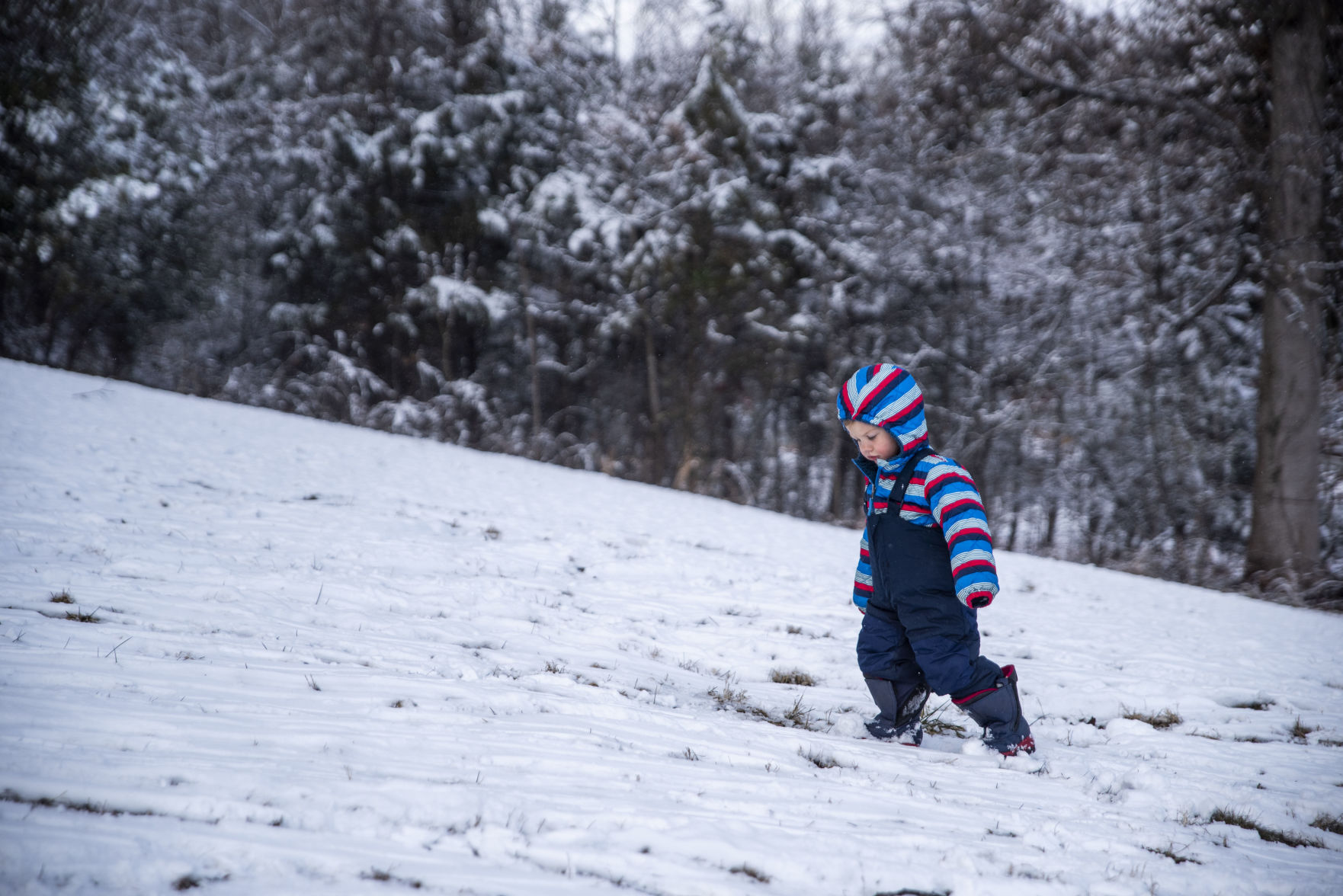 Snow day
